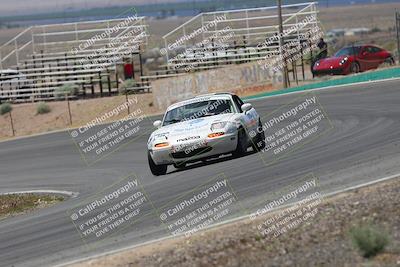 media/May-03-2025-Lucky Dog Racing (Sat) [[206de64b9d]]/Turn 4 B (1150am-130pm)/